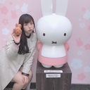 おためし🐰🌿