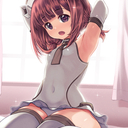 高級ドライフードプラン