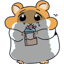 プロテインプラン