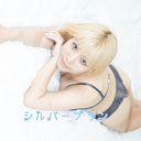 シルバープラン