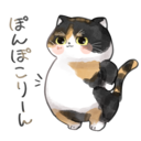 無料応援プラン