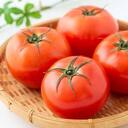 トマト農家のみなさん