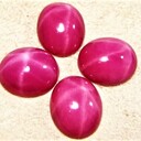 今週の運気予報プラン