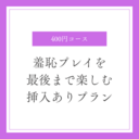 羞恥プレイを最後まで楽しむ挿入ありプラン