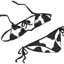 むっちむちプラン