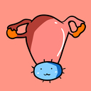 ぶるかびこぶくろプラン