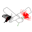 試行錯誤の結果