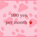 上級者向けプラン