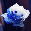 もっとうさ活❤️