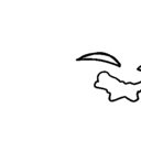 ホワイトプラン