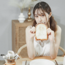 お試しにゃんプラン