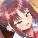 メインプラン(大)