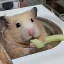 みるくたんにこにこプラン