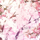 無料のせなちゃ