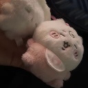 一人で♡堪能プラン　new🌟