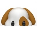 いこいの日常🐶