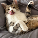 特上フルコース♡