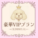 🐶 豪華VIPプラン