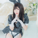 えれこに猫缶プラン