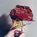 ‎🤍静かに支える支援プラン