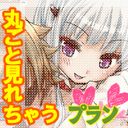 丸ごと見れちゃうプラン