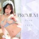 PREMIUM PLAN