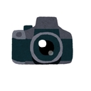 もっと写真を見る