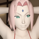 制限解放プラン