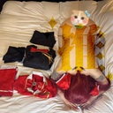 🤴🏻🙏敗北のプロ・石油王様プラン🙏🤴🏻