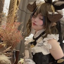 🩵応援プラン🩵