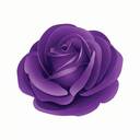 プレミアムプラン＋