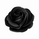 シークレットプラン