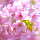 【通話&私物プレゼントプラン📞🎁💞】