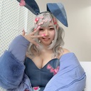 のーぷらん