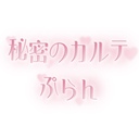秘密のカルテぷらん