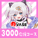 ３０００応援コース