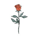 静かな入り口🌹