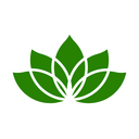 中国人限定【新】プラン