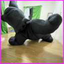 ヒレの雫プラン