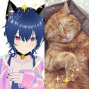 ねるちと猫がこの世のすべてプラン