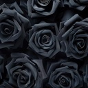 黒のバラプラン