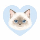 だれでも🐱