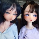 応援してください！プラン
