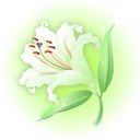 【有料】竹プラン