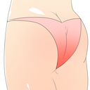 パンティプラン