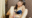 2021-11-24 20:00の投稿