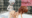 2021-12-11 21:30の投稿