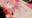 2021-12-19 12:00の投稿