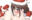 2021-12-24 18:33の投稿