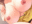 2022-01-29 17:00の投稿
